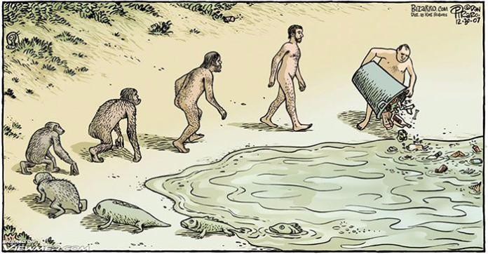 Theorie evolution darwin humour